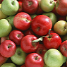 Apples Available from TPS Fruit and Veg, Wholesale Suppliers in Aberdeenshire and Moray of Fresh Fruit and Vegetable