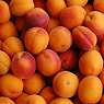 Fresh Apricots Available from TPS Fruit and Veg, Wholesale Suppliers in Aberdeenshire and Moray of Fresh Fruit and Vegetable