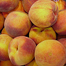Fresh Peaches Available from TPS Fruit and Veg, Wholesale Suppliers in Aberdeenshire and Moray of Fresh Fruit and Vegetable