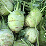 Kholrabi Available from TPS Fruit and Veg, Wholesale Suppliers in Aberdeenshire and Moray of Fresh Fruit and Vegetable