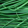 Fresh Chives Available from TPS Fruit and Veg, Wholesale Suppliers in Aberdeenshire and Moray of Fresh Fruit and Vegetable